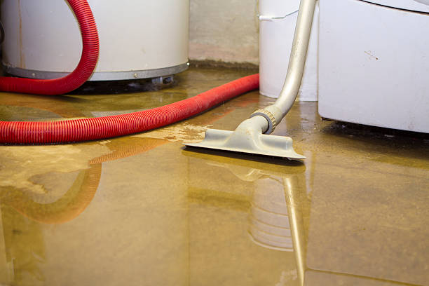 Best Water damage repair service  in Kennedale, TX