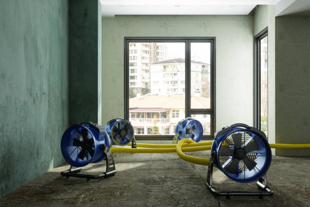 Best 24/7 water damage repair  in Kennedale, TX